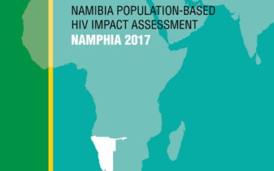 Namibia Final Report 2017