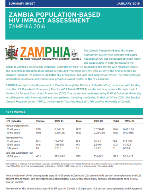 zambian business plan pdf