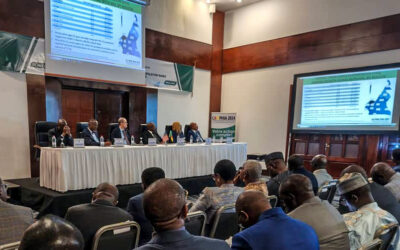 CAMPHIA 2024–2025 Survey Provides Updated National Picture of the HIV Epidemic in Cameroon